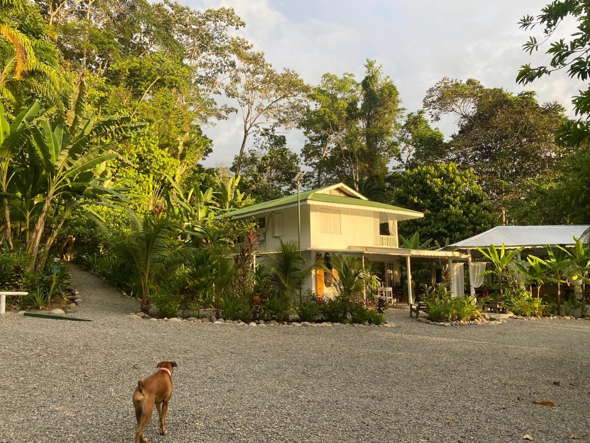 Puerto Viejo de Talamanca Colina Secreta - Glamping And Villas المظهر الخارجي الصورة